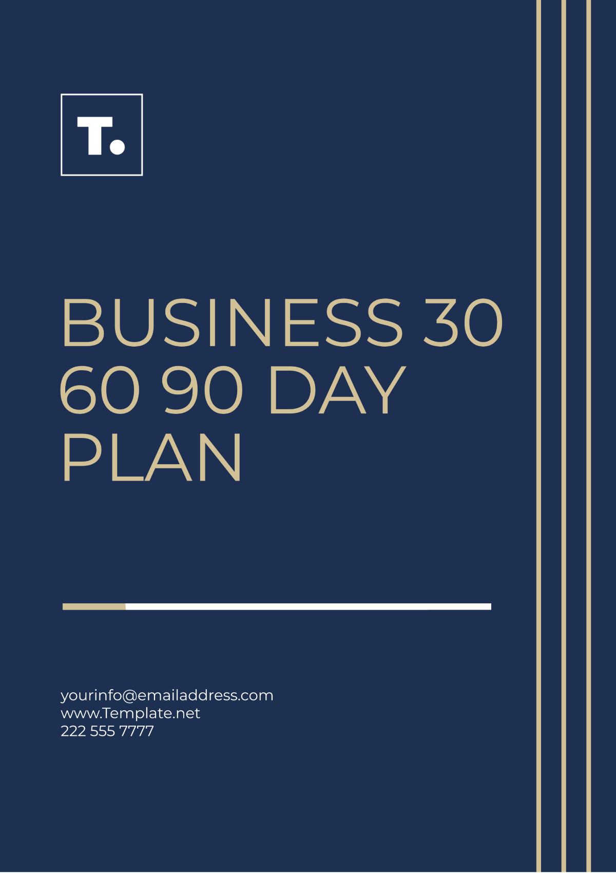 Business 30 60 90 Day Plan Template - Edit Online & Download