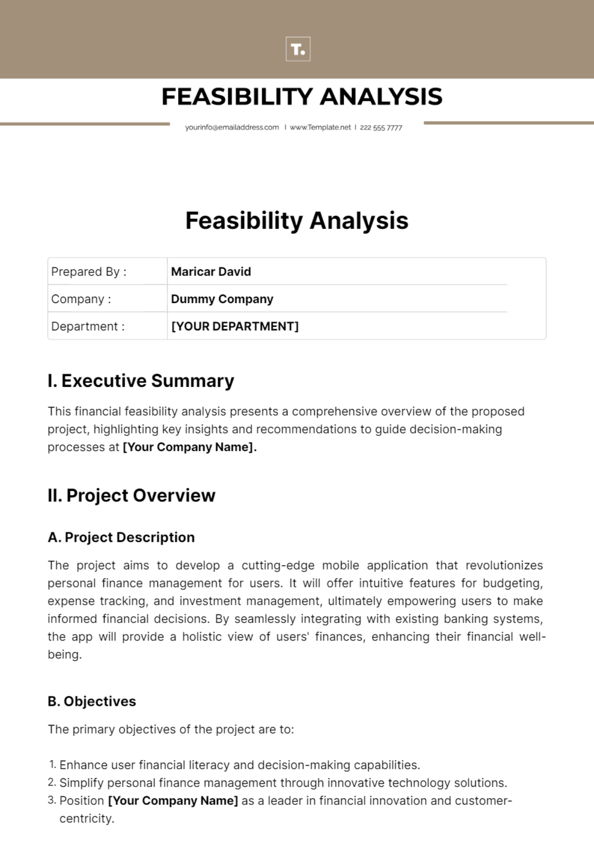 Feasibility Analysis Template