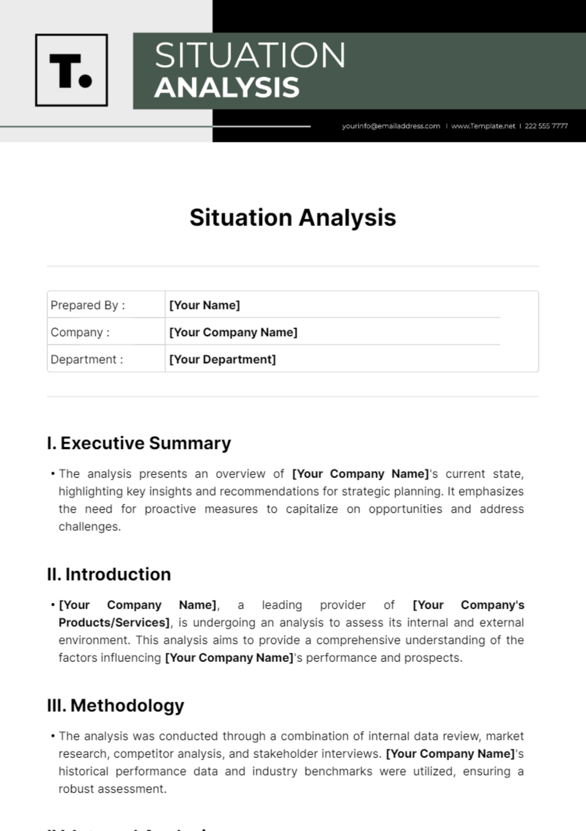 Situation Analysis Template - Edit Online & Download