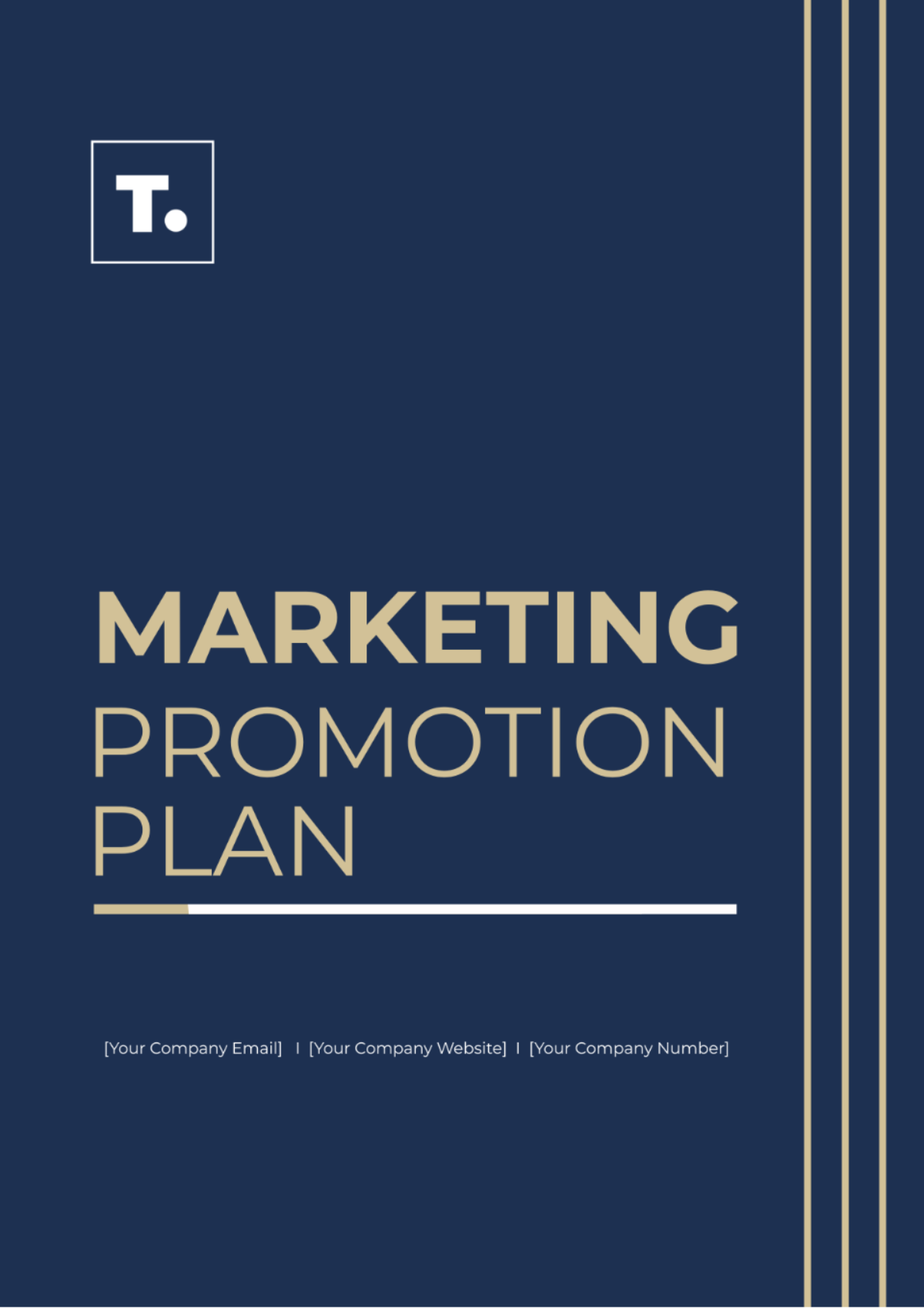 Marketing Promotion Plan Template - Edit Online & Download