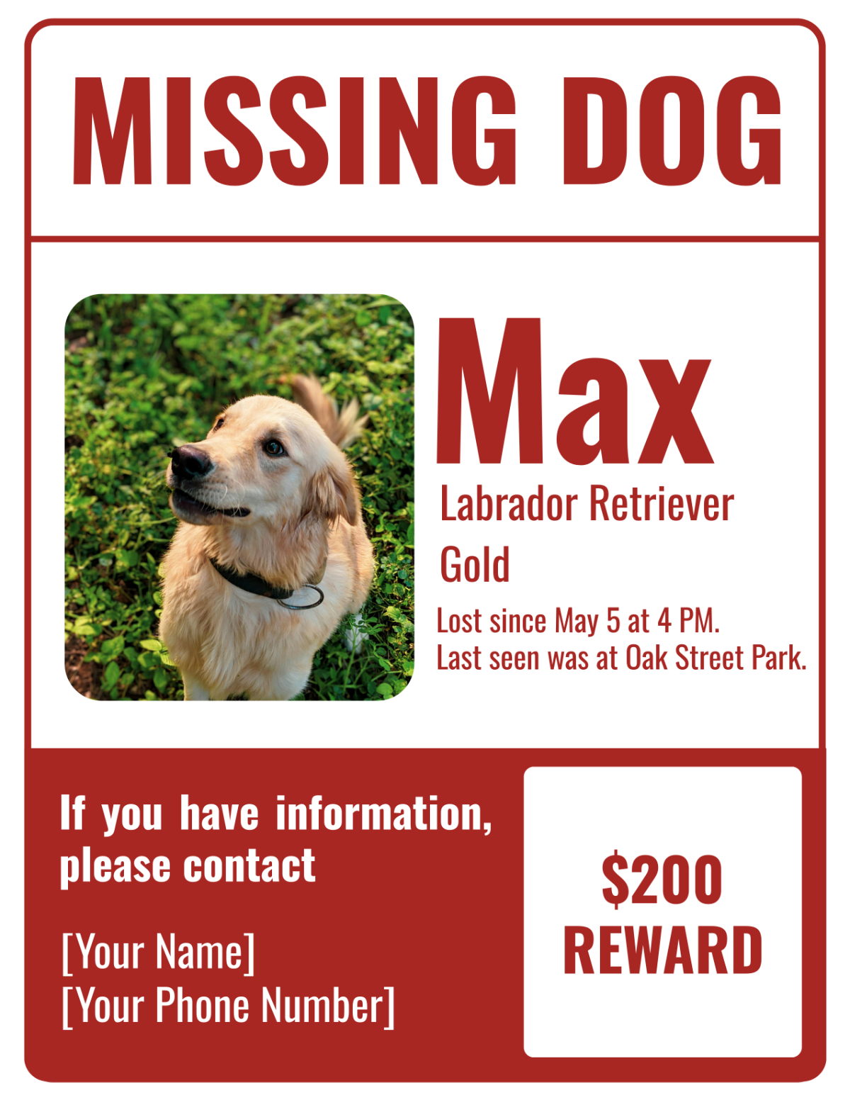 Free Lost Pet Flyer Template