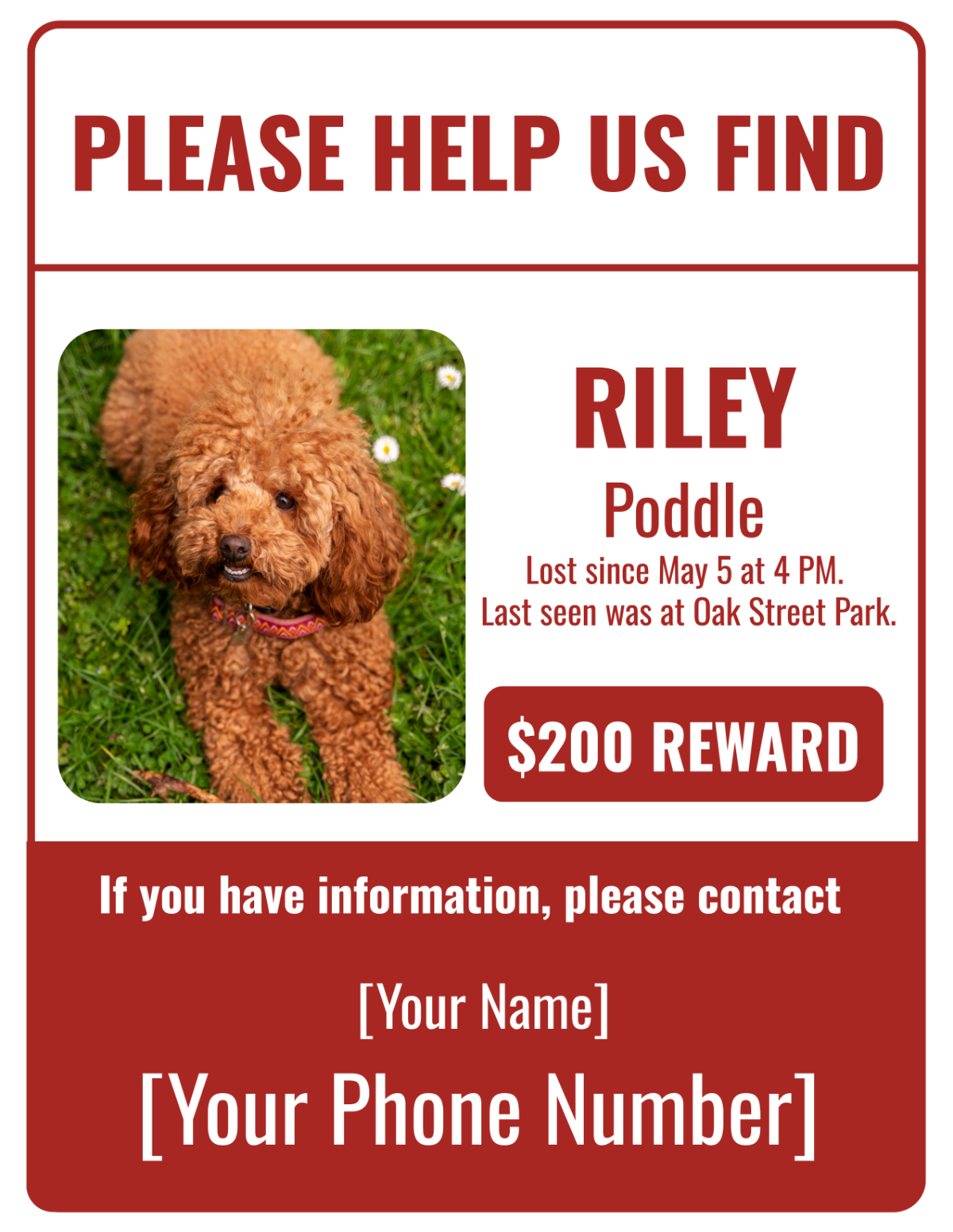 Lost Pet Flyer Template - Edit Online & Download