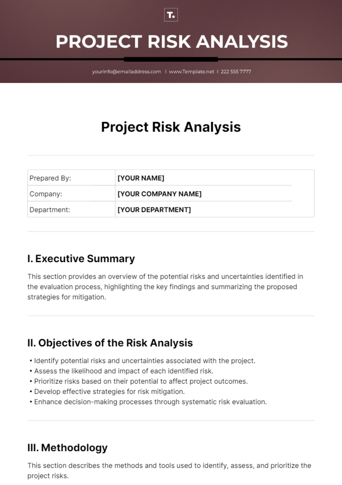 Project Risk Analysis Template