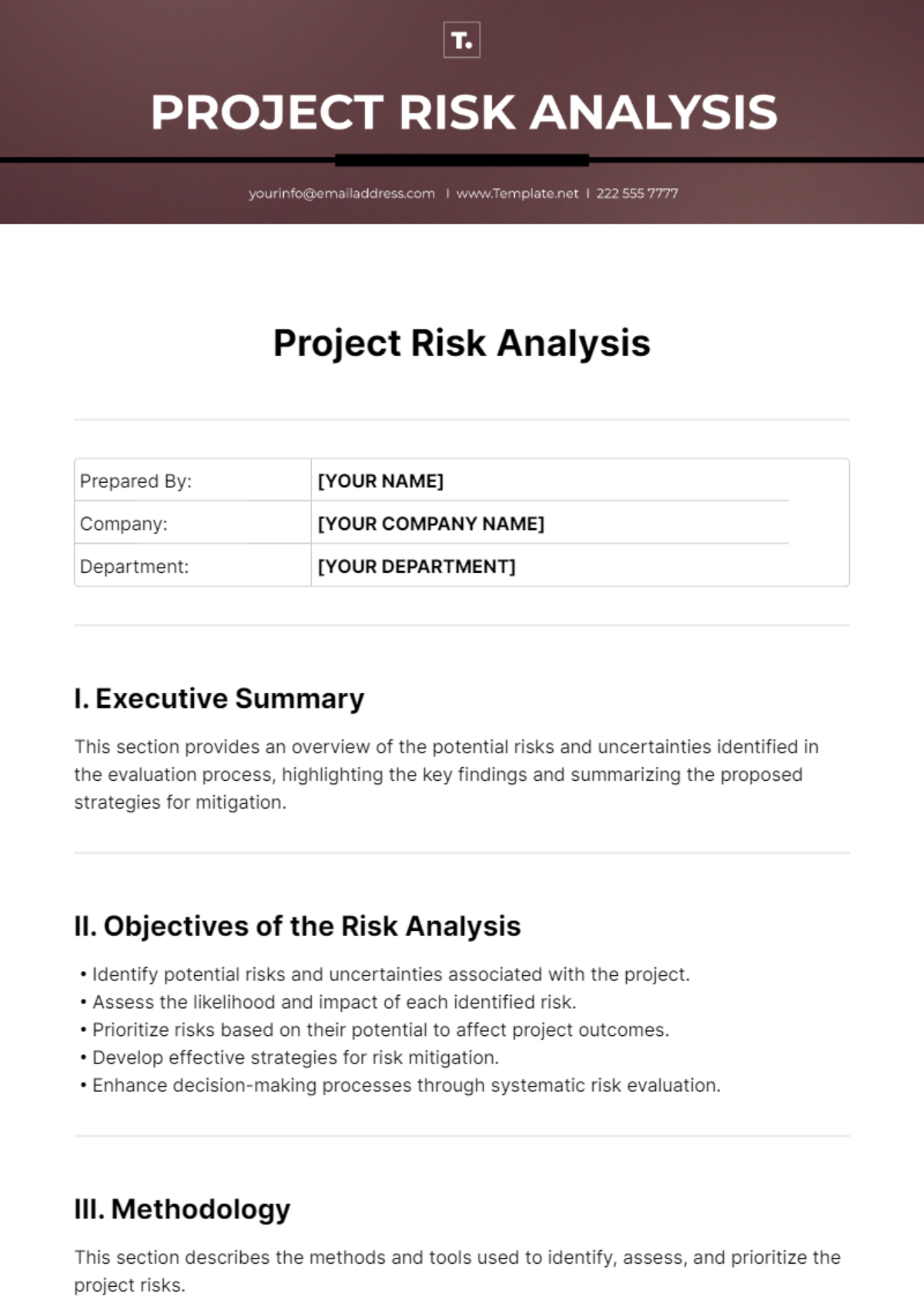 Project Risk Analysis Template - Edit Online & Download