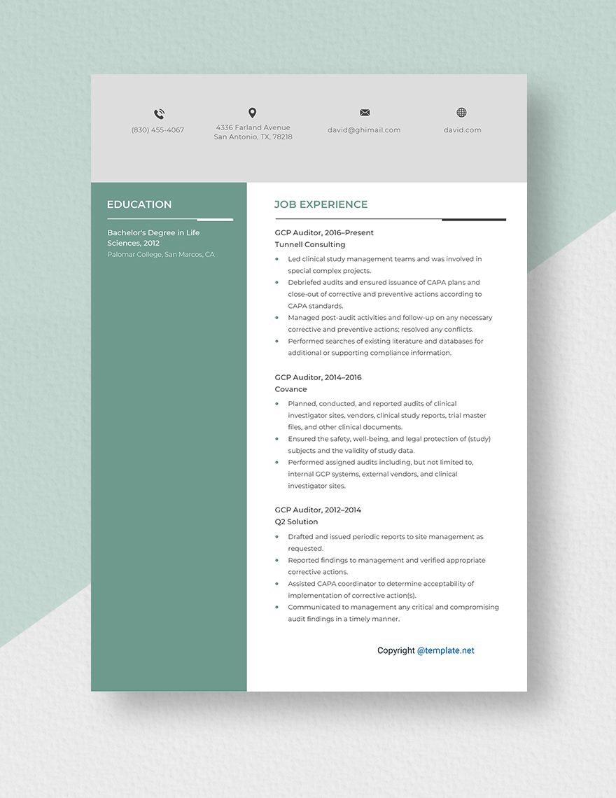 GCP Auditor Resume in Word Pages Download Template net