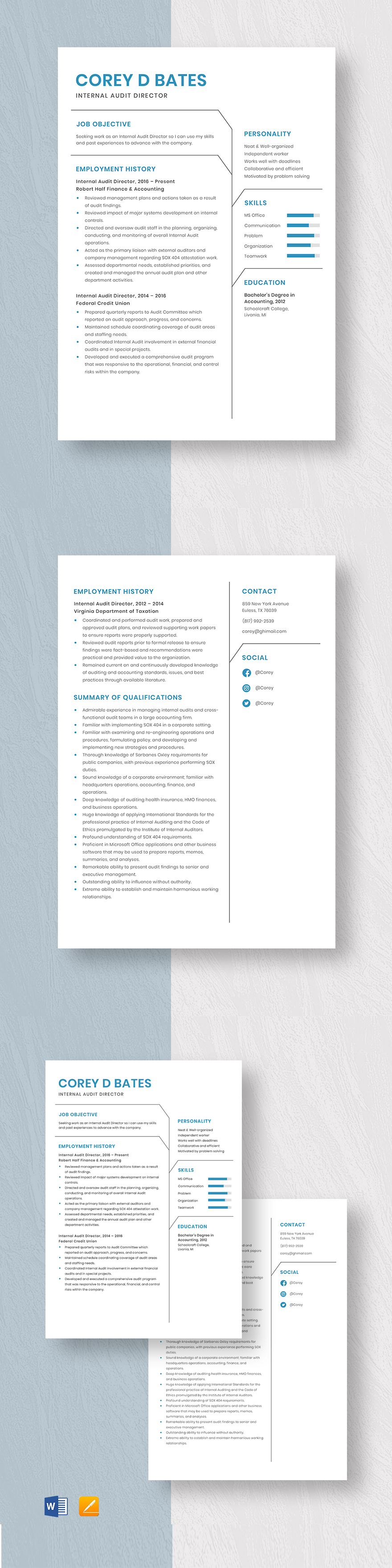 Free Internal Audit Director Resume Template Word Apple Pages Free Internal Audit Director Resume Template Word Apple Pages