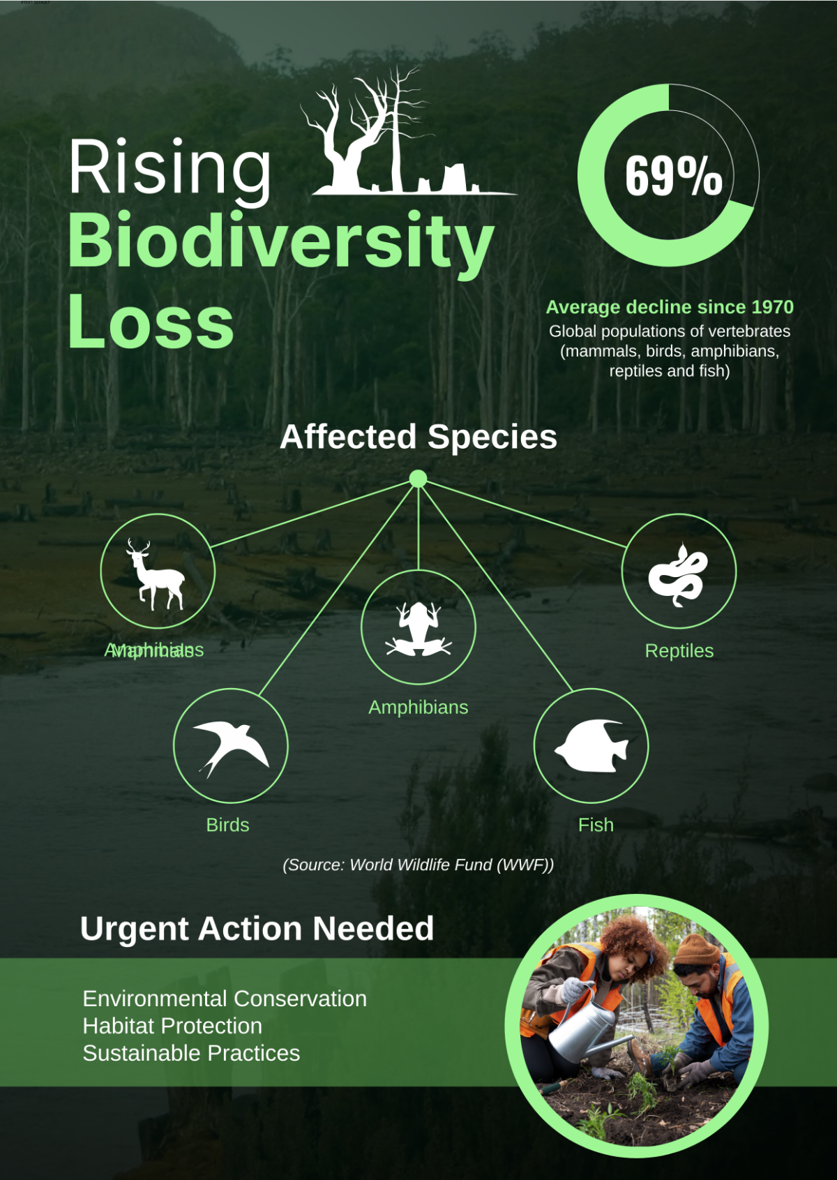 Environmental Awareness Infographic