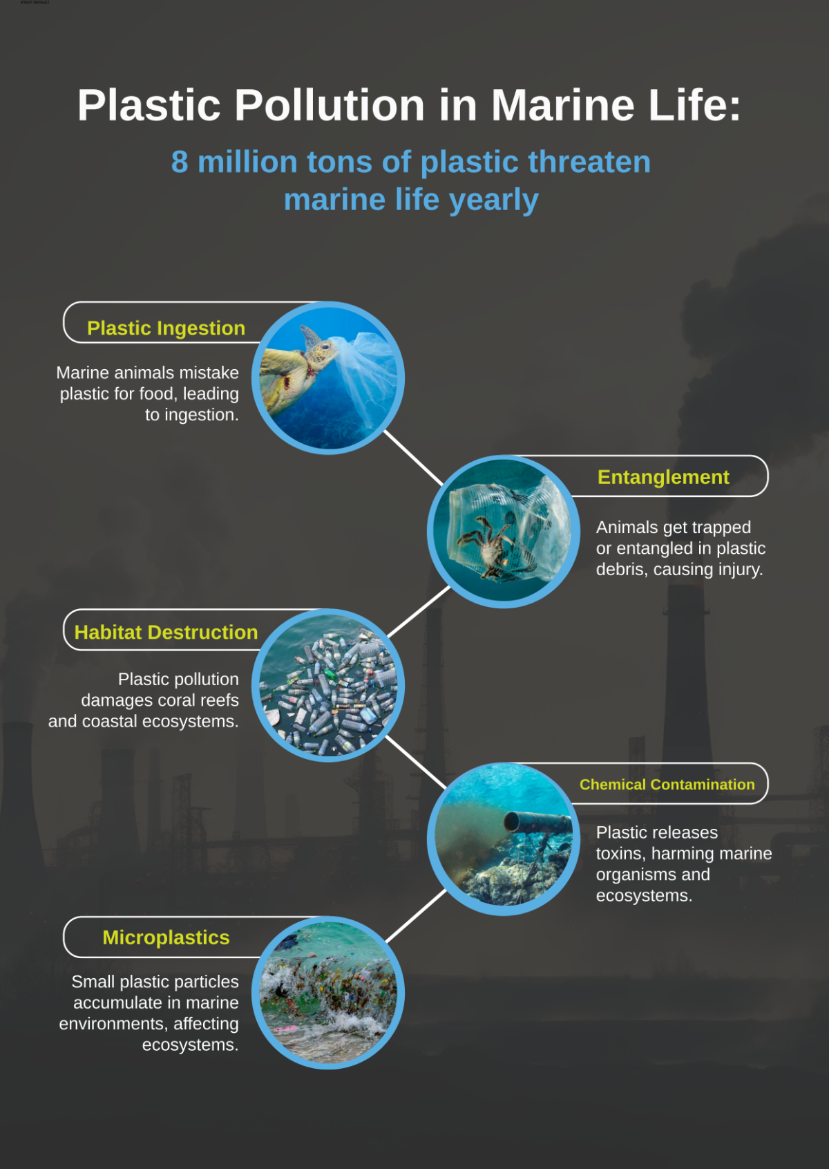 Polluted Environment Infographic