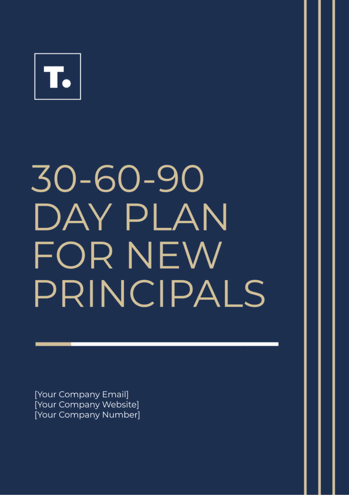 30-60-90 Day Plan For New Principals Template - Edit Online & Download