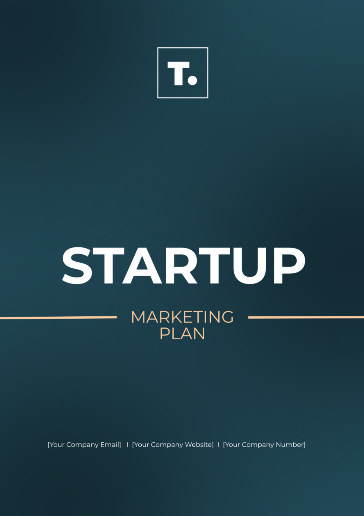 Startup Marketing Plan Template - Edit Online & Download