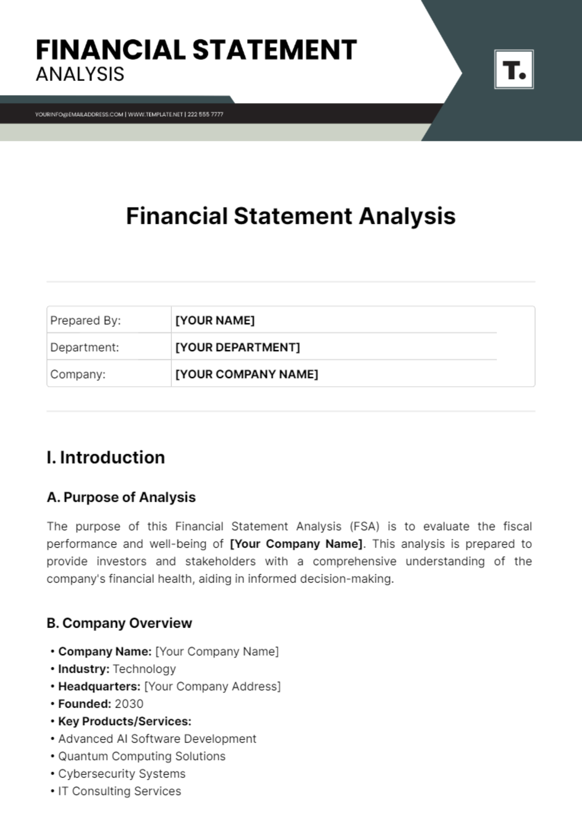 Financial Statement Analysis Template