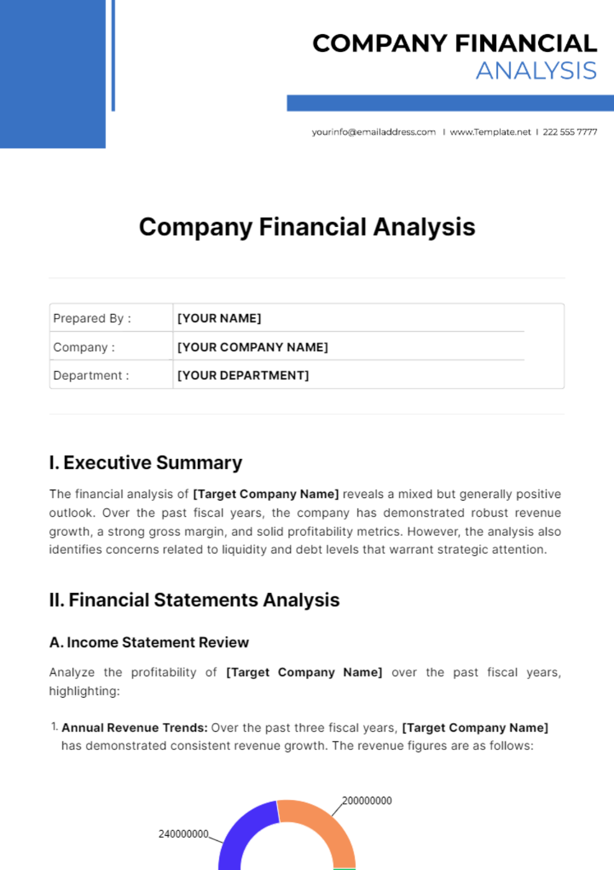 Company Financial Analysis Template