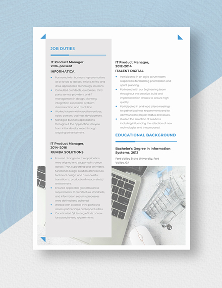 IT Product Manager Resume Template