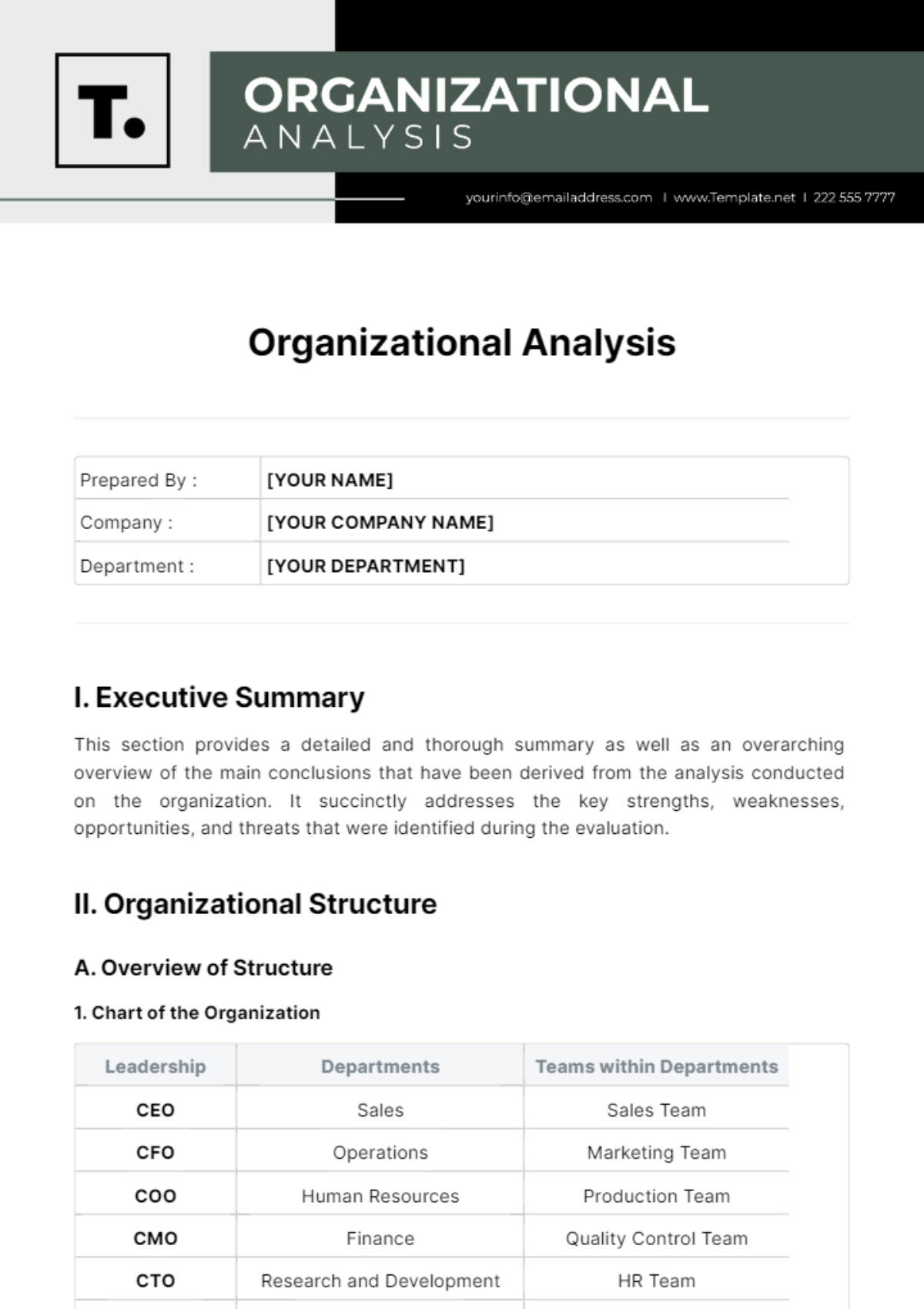 Organizational Analysis Template