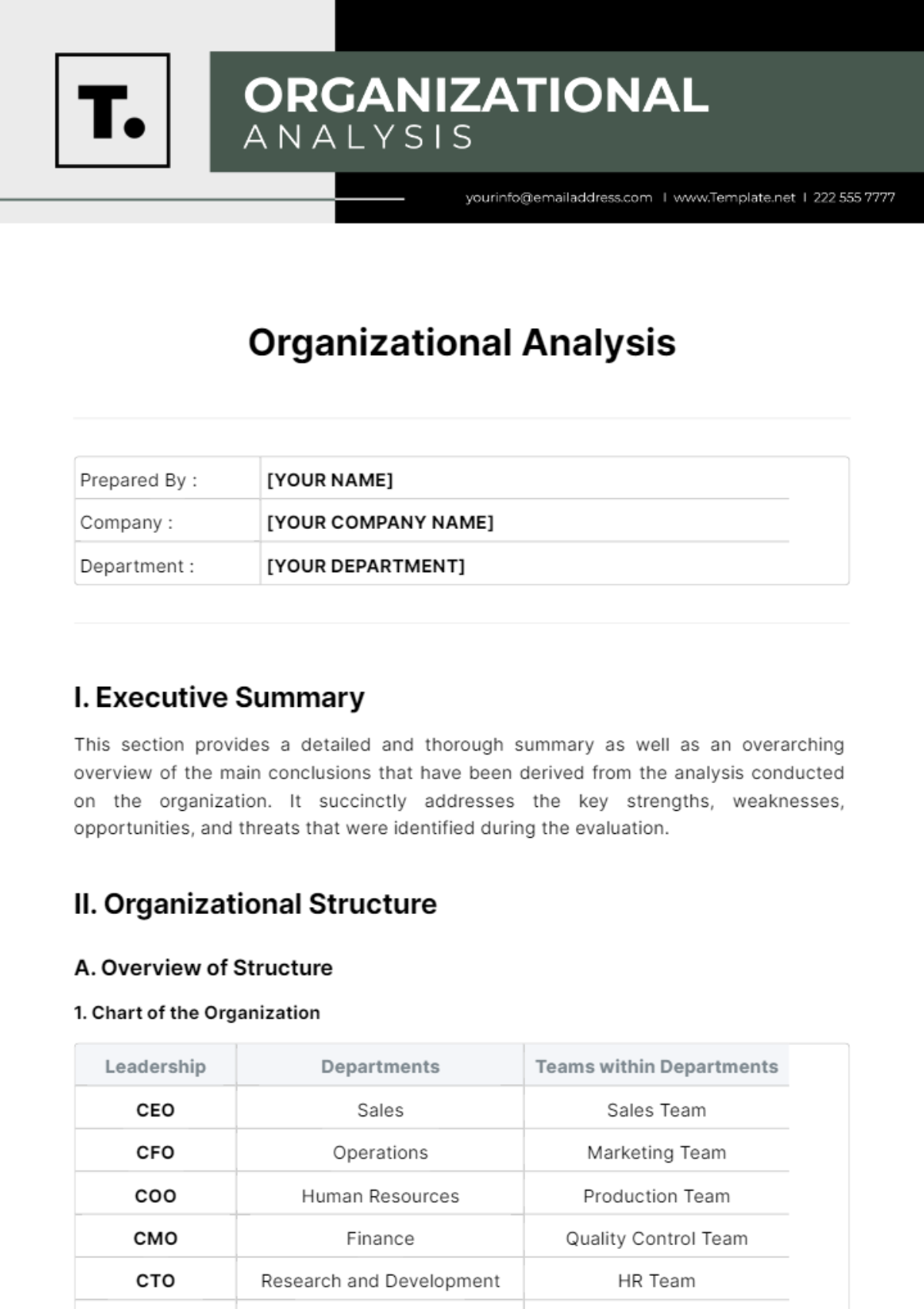 Organizational Analysis Template - Edit Online & Download