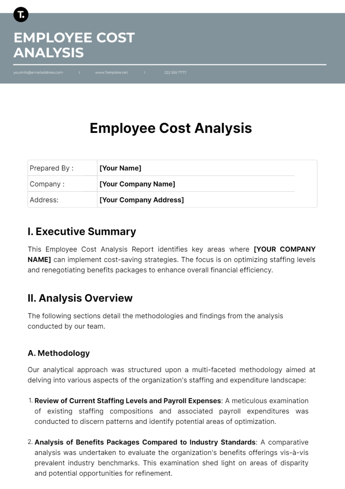 Employee Cost Analysis Template