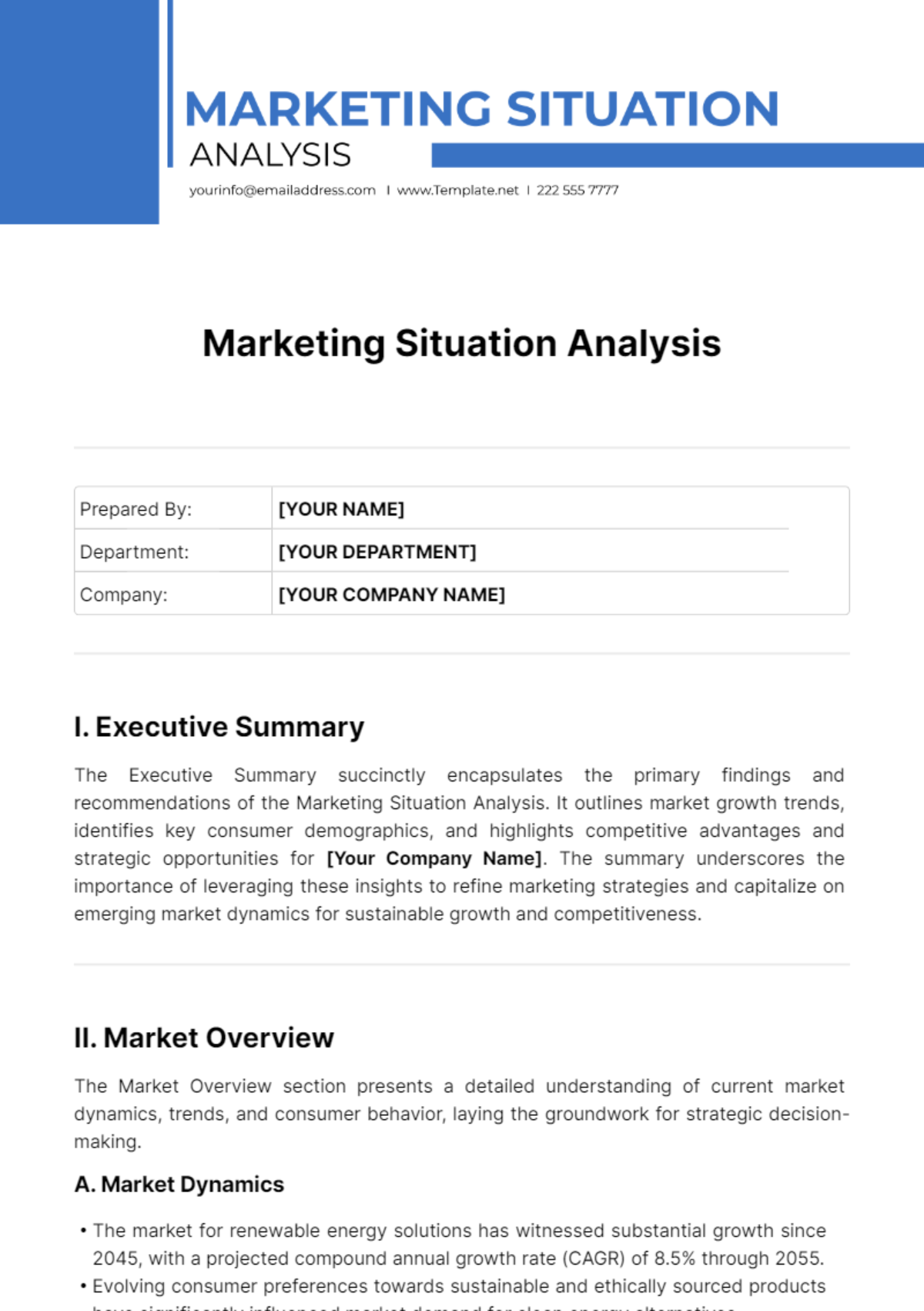 Marketing Situation Analysis Template
