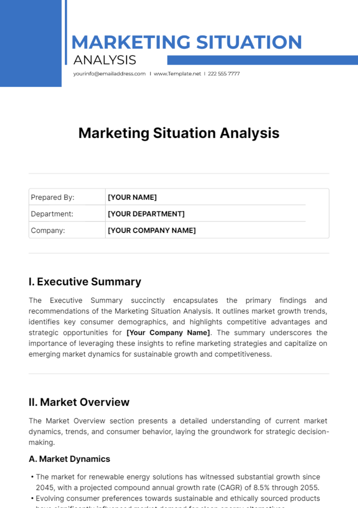 Marketing Situation Analysis Template - Edit Online & Download