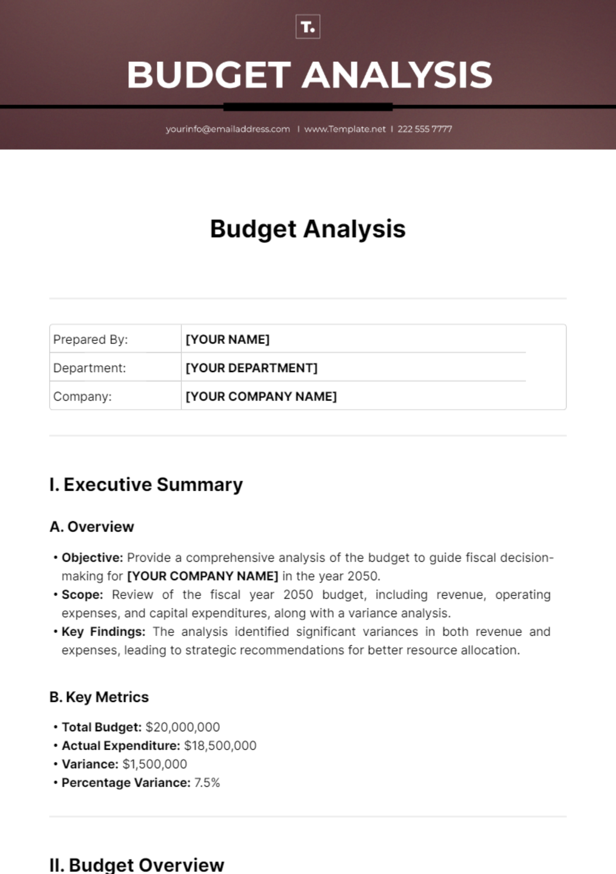 Budget Analysis Template
