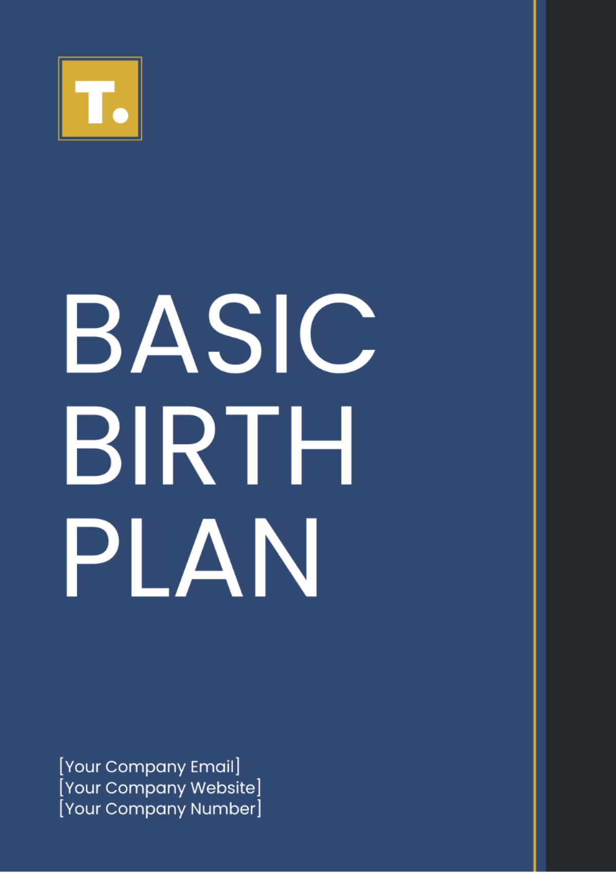 Free Basic Birth Plan Template