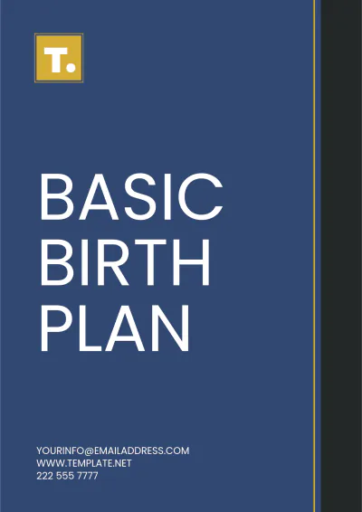 Free Basic Birth Plan Template to Edit Online