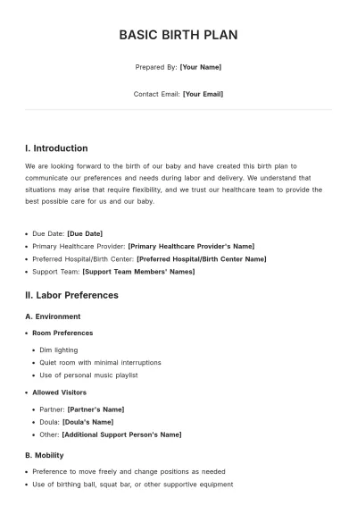 Free Basic Birth Plan Template to Edit Online