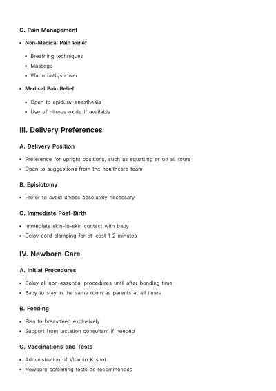 Free Basic Birth Plan Template to Edit Online