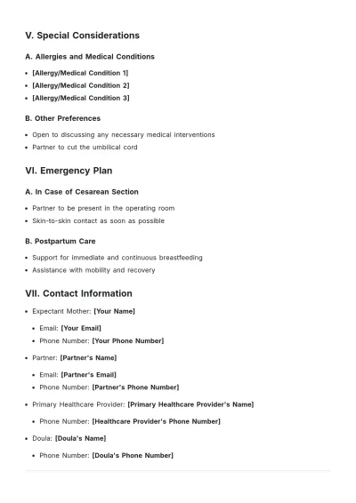 Free Basic Birth Plan Template to Edit Online
