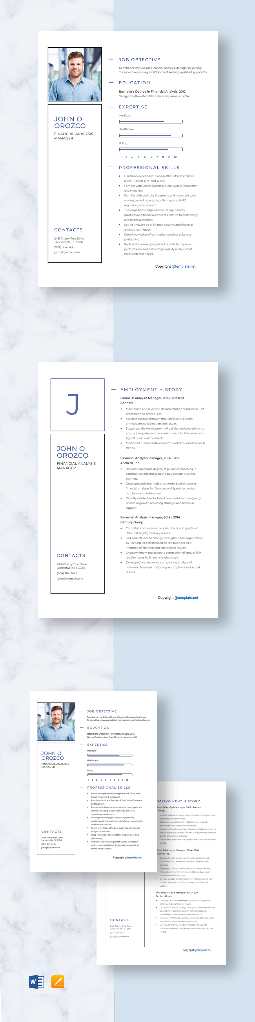 financial-planning-manager-resume-template-word-apple-pages