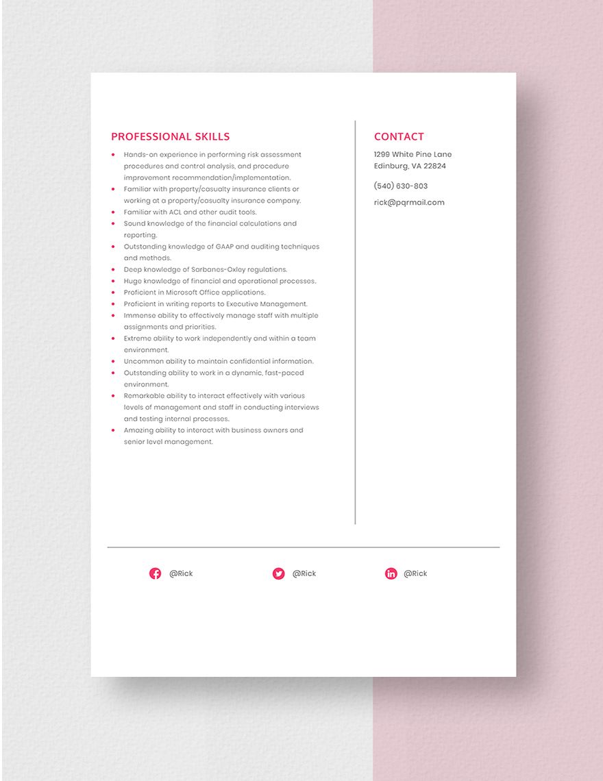 Financial Auditor Resume Template