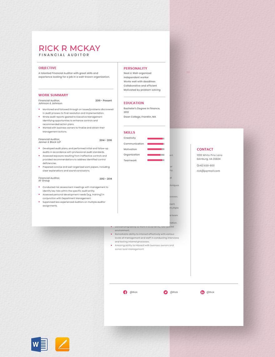 Financial Auditor Resume Template
