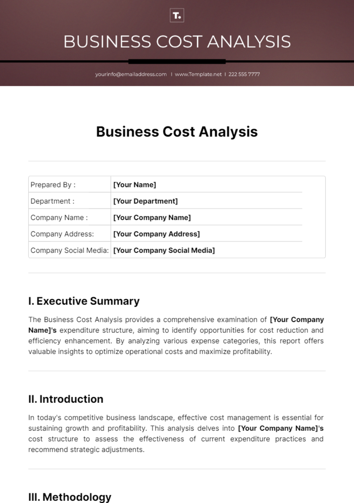 Business Cost Analysis Template
