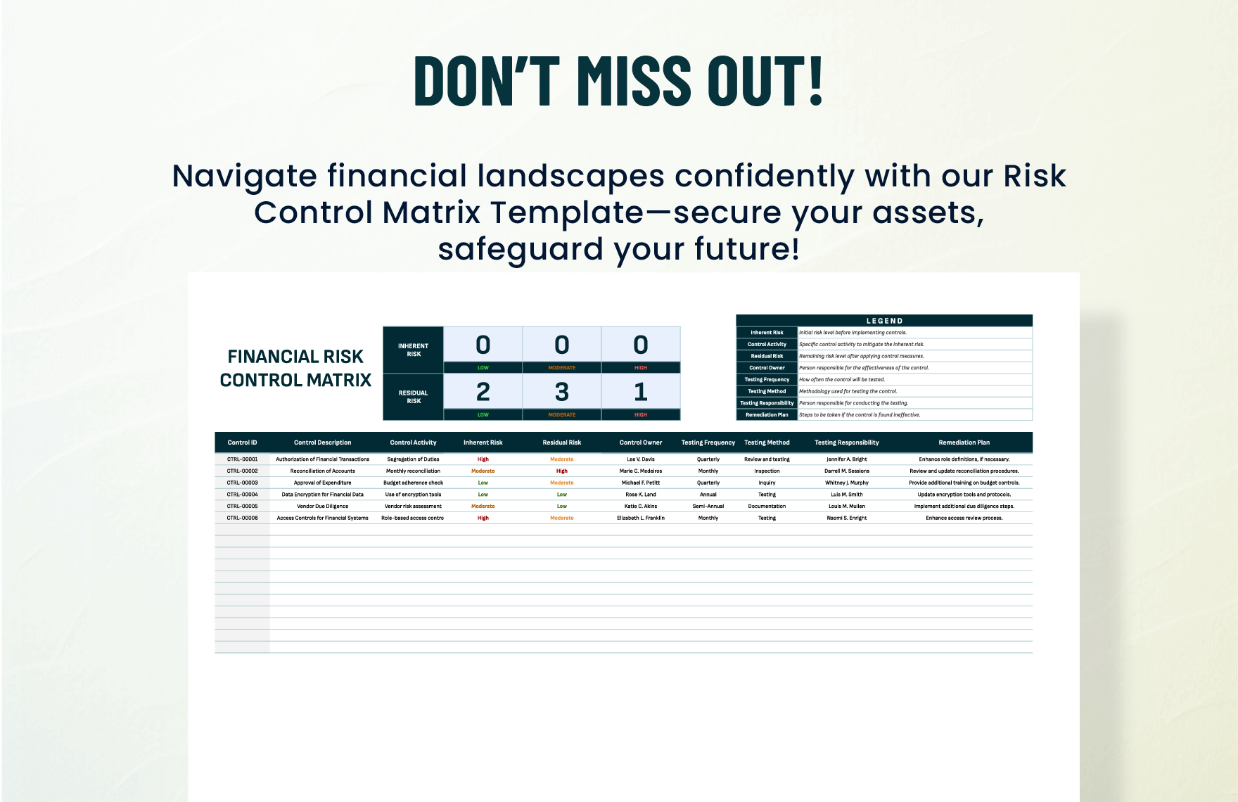 Financial Risk Control Matrix Template