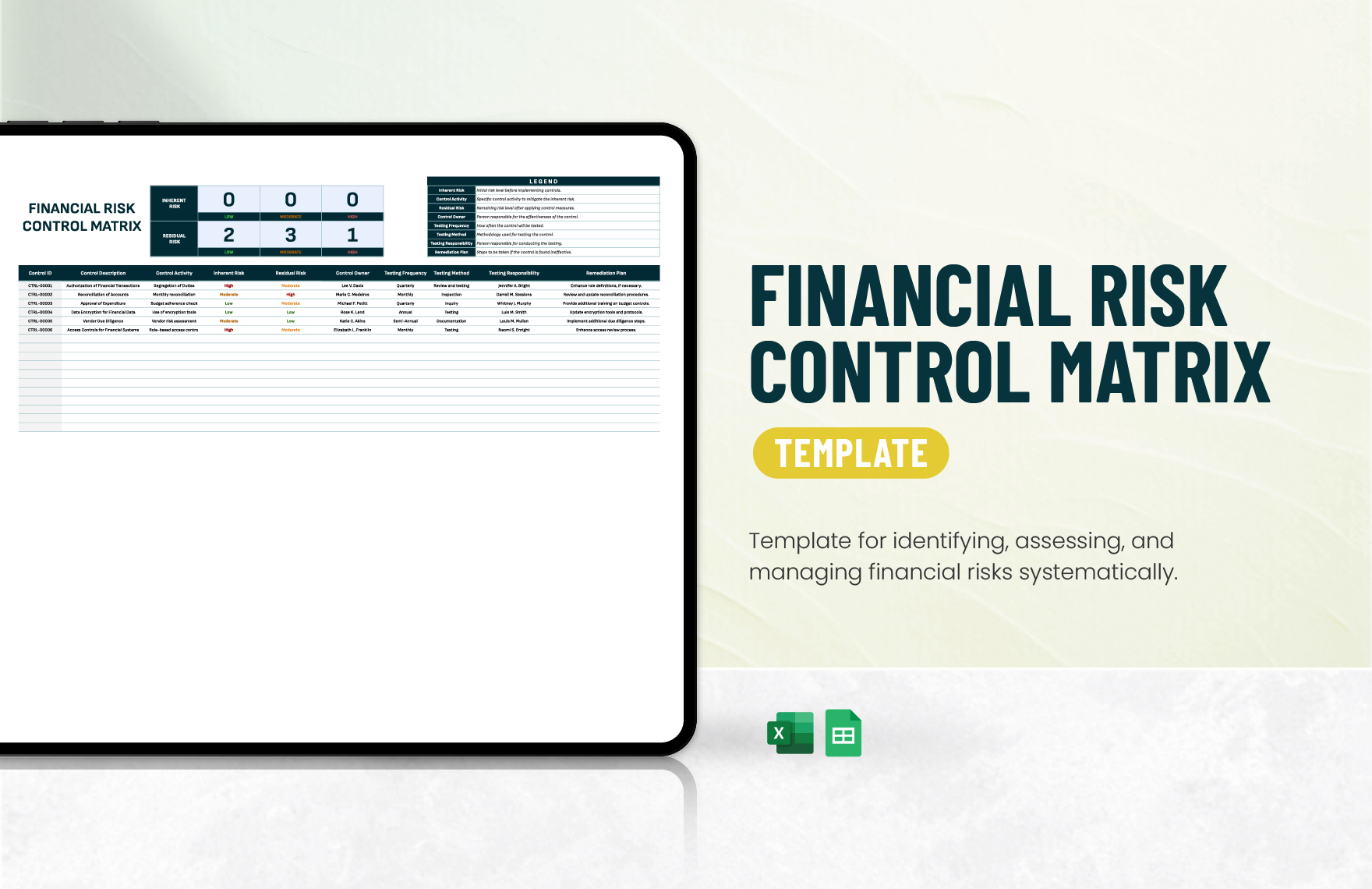 Financial Risk Control Matrix Template