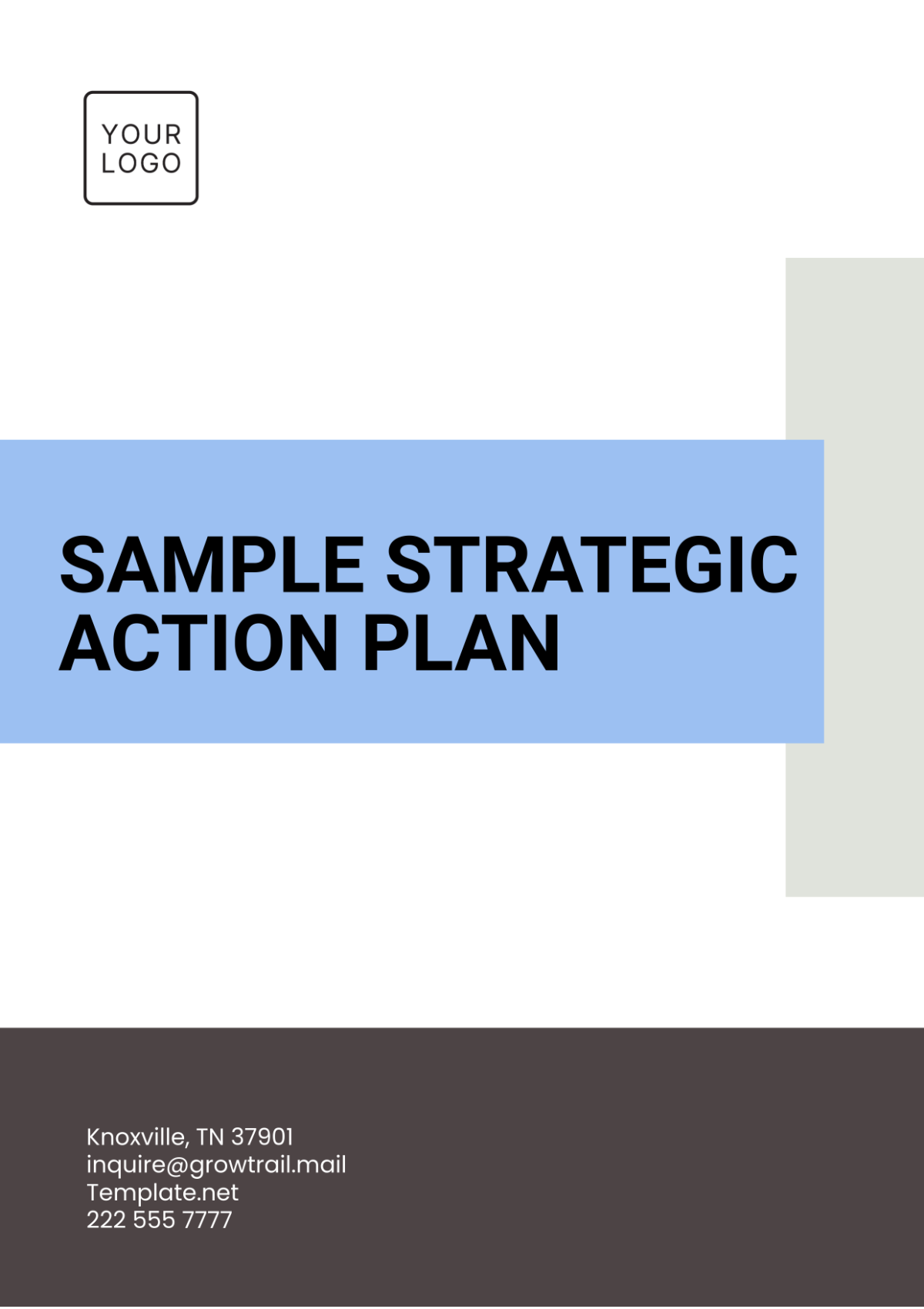 Sample Strategic Action Plan Template