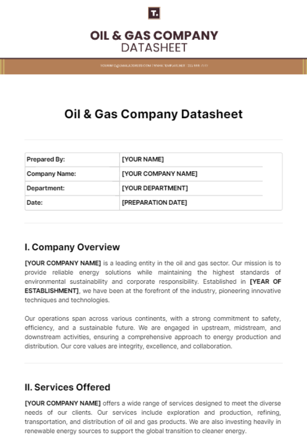 Oil & Gas Company Datasheet Template