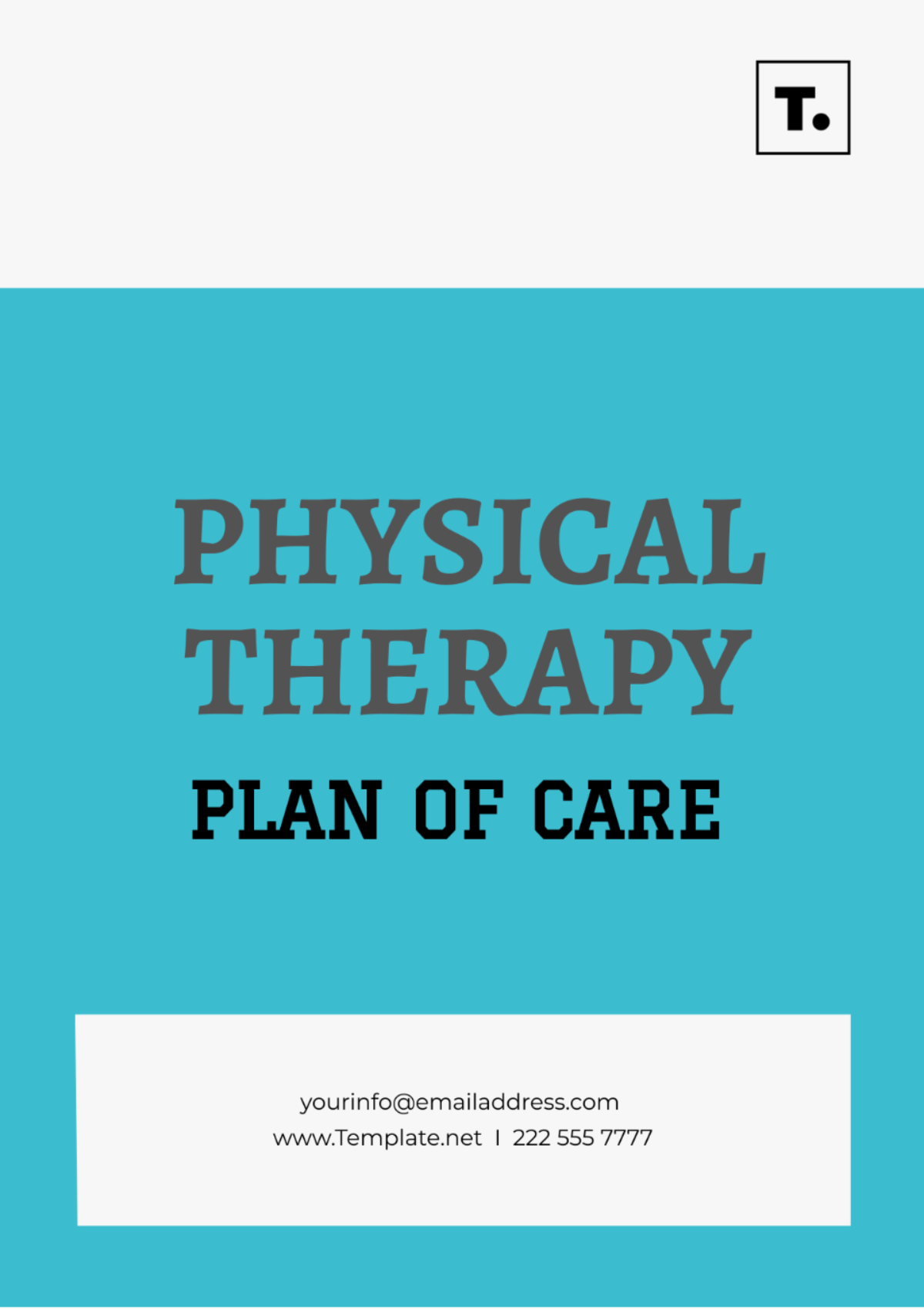 Physical Therapy Plan Of Care Template