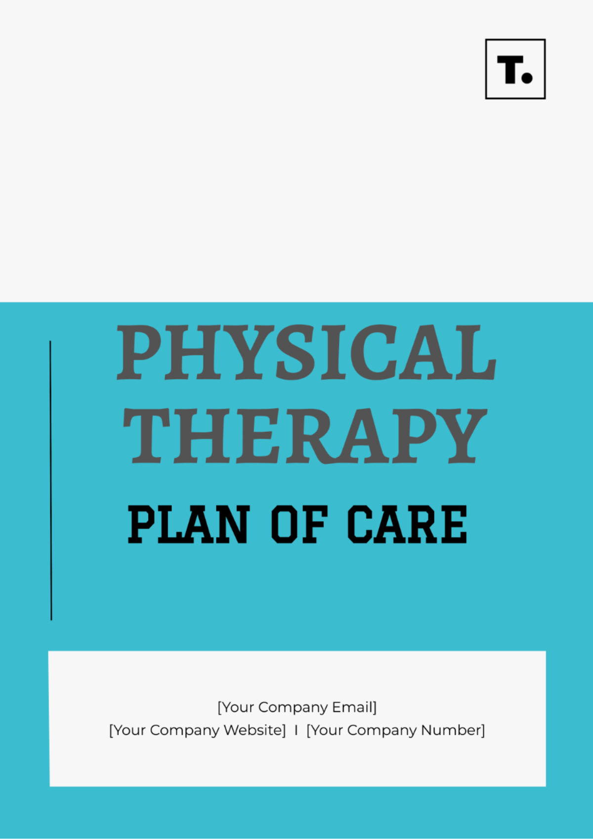 Physical Therapy Plan Of Care Template - Edit Online & Download