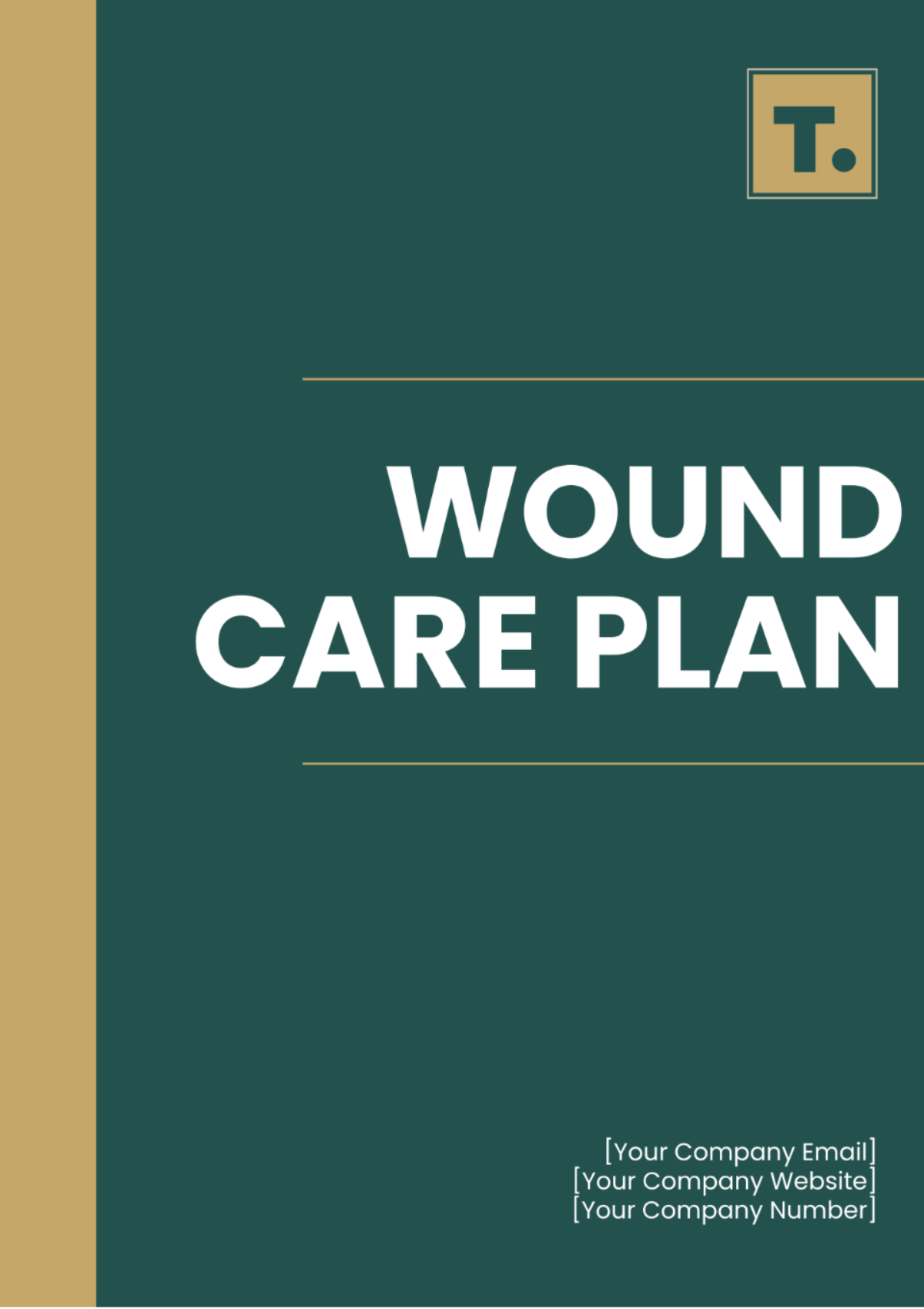 Wound Care Plan Template - Edit Online & Download