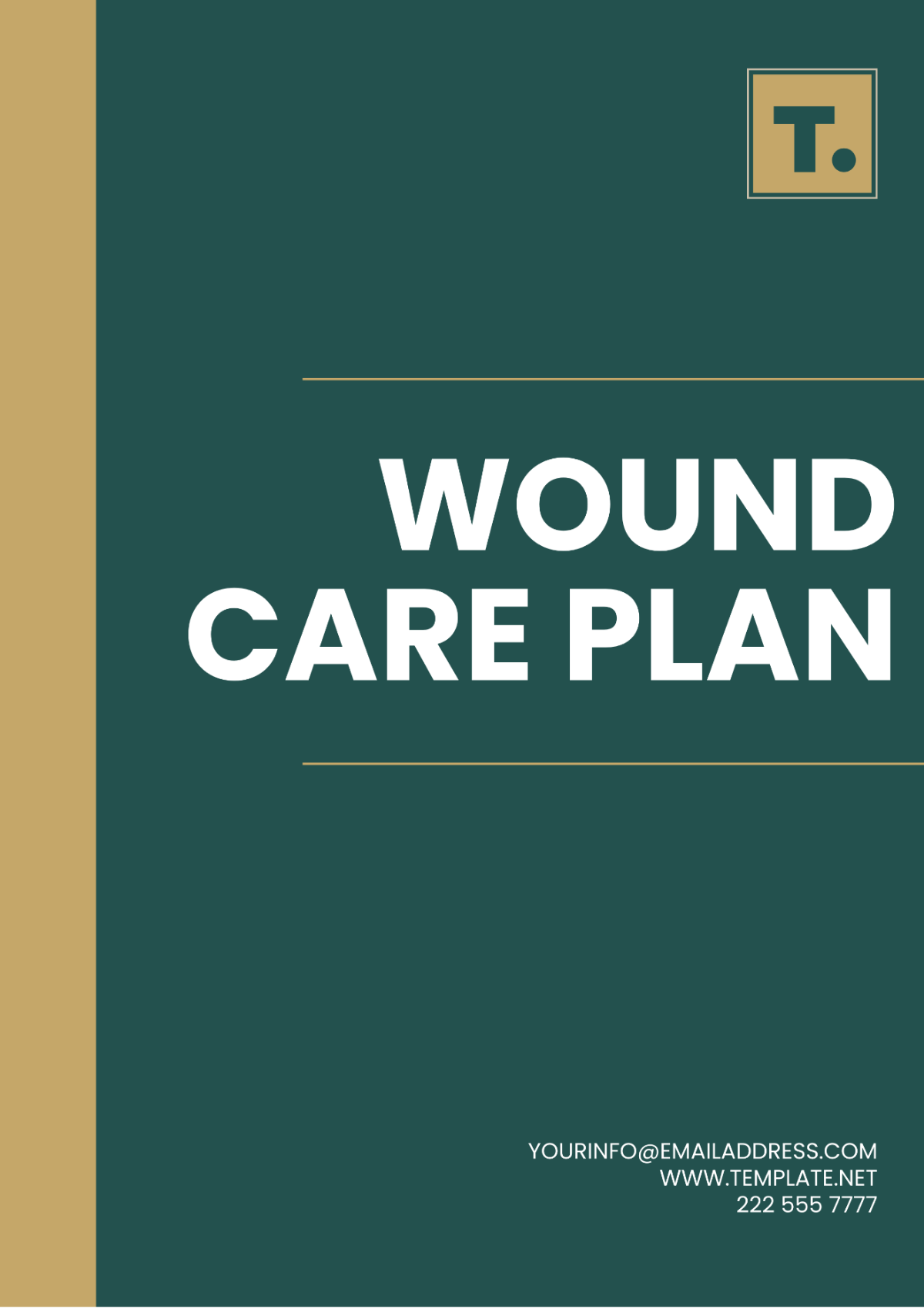 Wound Care Plan Template