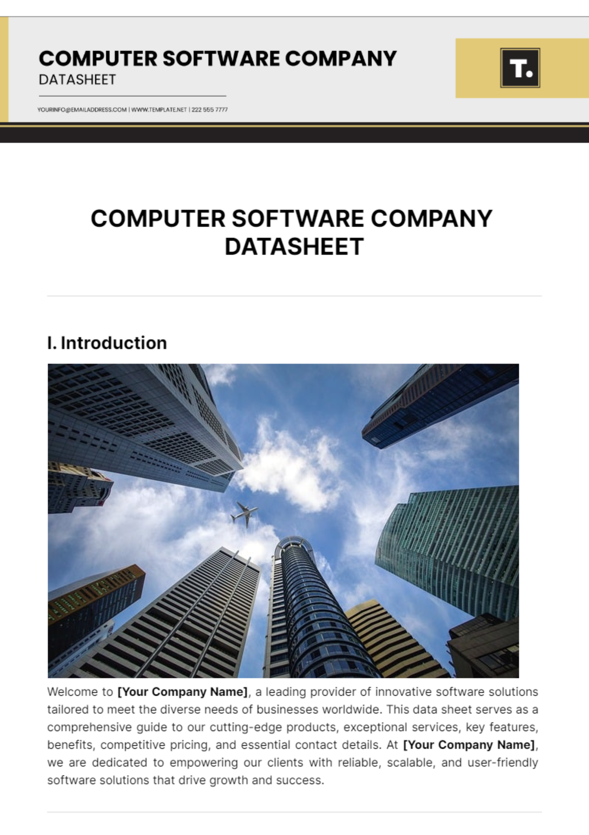 Computer Software Company Datasheet Template - Edit Online & Download