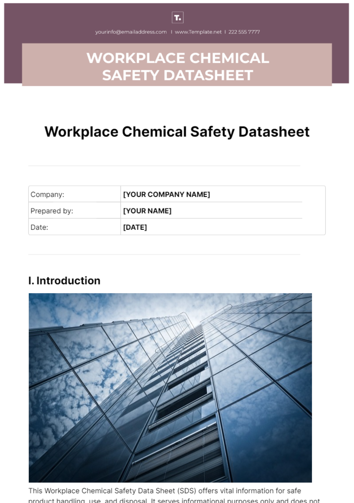 Workplace Chemical Safety Datasheet Template - Edit Online & Download