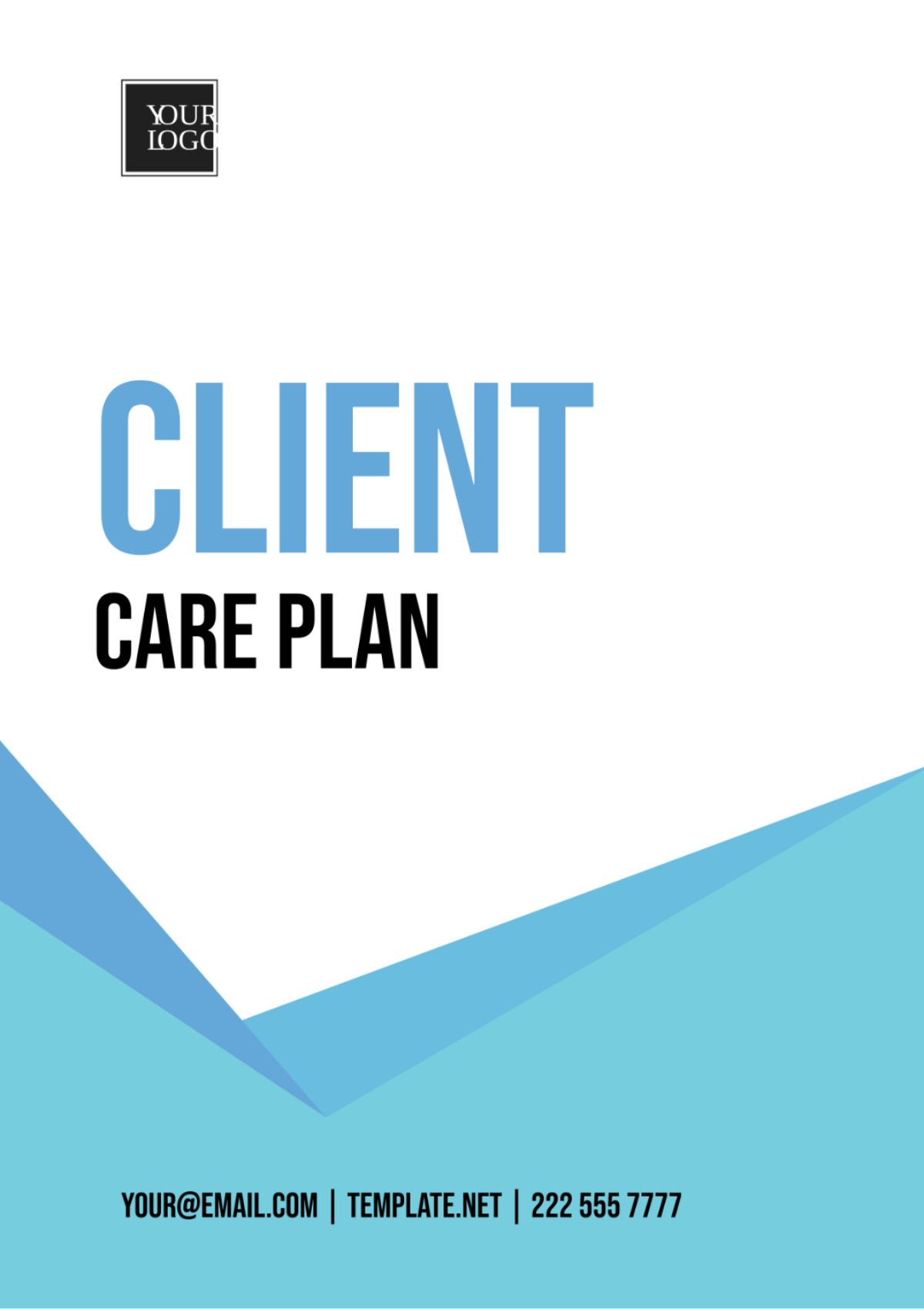 Client Care Plan Template