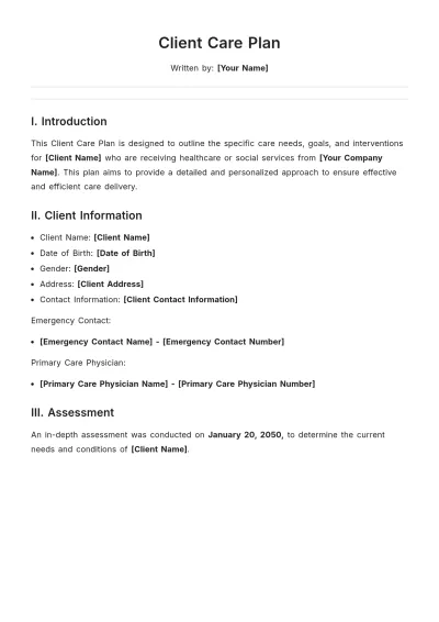 Free Client Care Plan Template to Edit Online