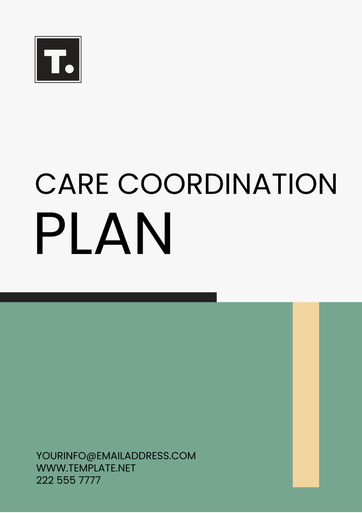 Care Coordination Plan Template