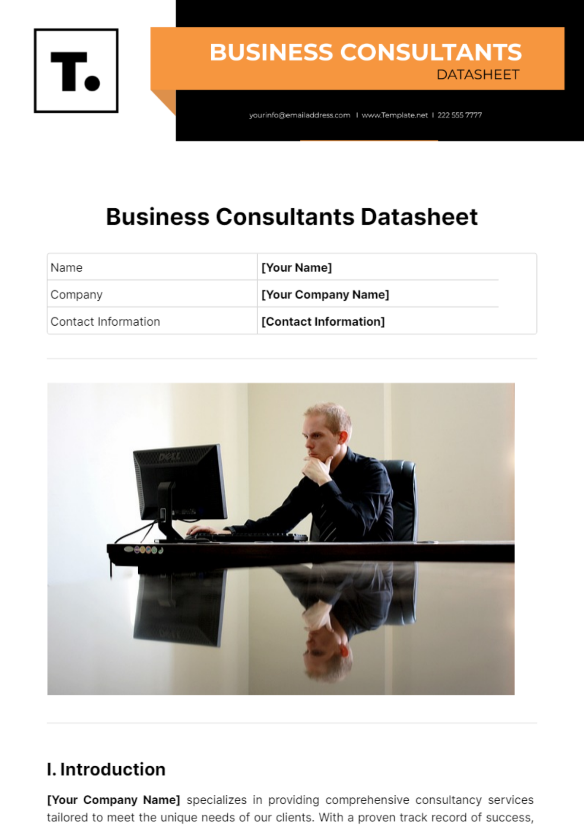 Business Consultants Datasheet Template - Edit Online & Download