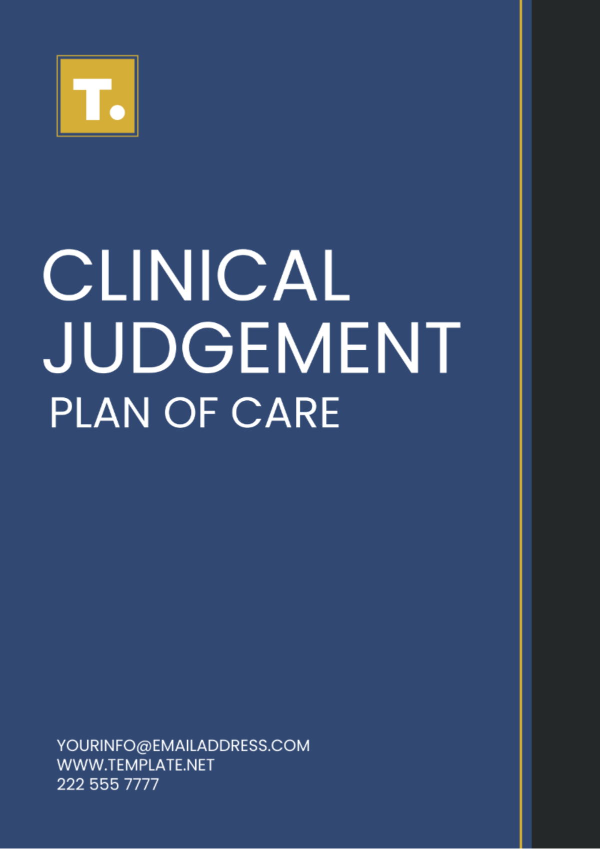 Clinical Judgement Plan Of Care Template