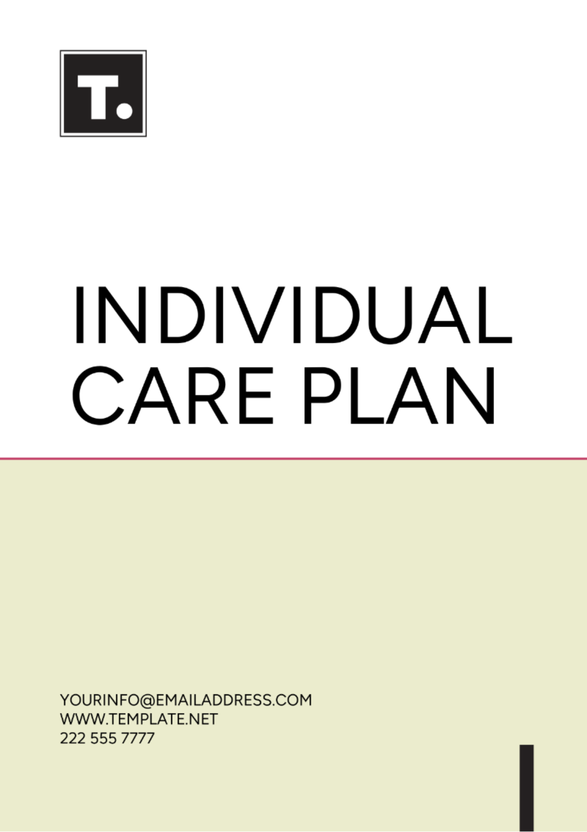 Individual Care Plan Template