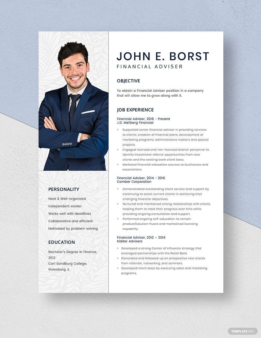 Financial Adviser Resume in Word, Apple Pages