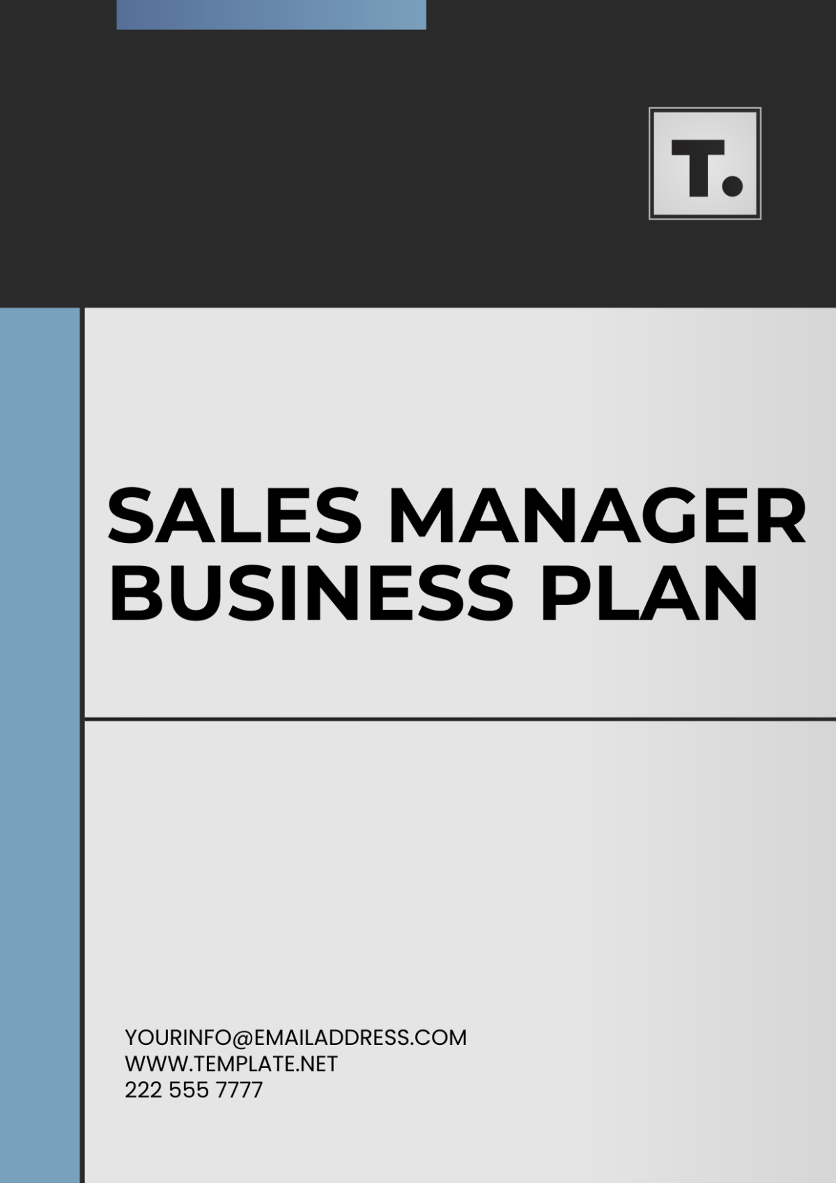 Sales Manager Business Plan Template